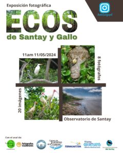 Ecos de Santay y el Gallo